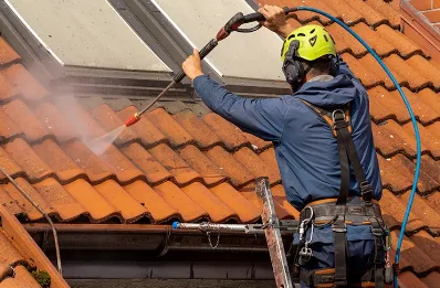 Démoussage et hydrofuge de toiture à Loubigné